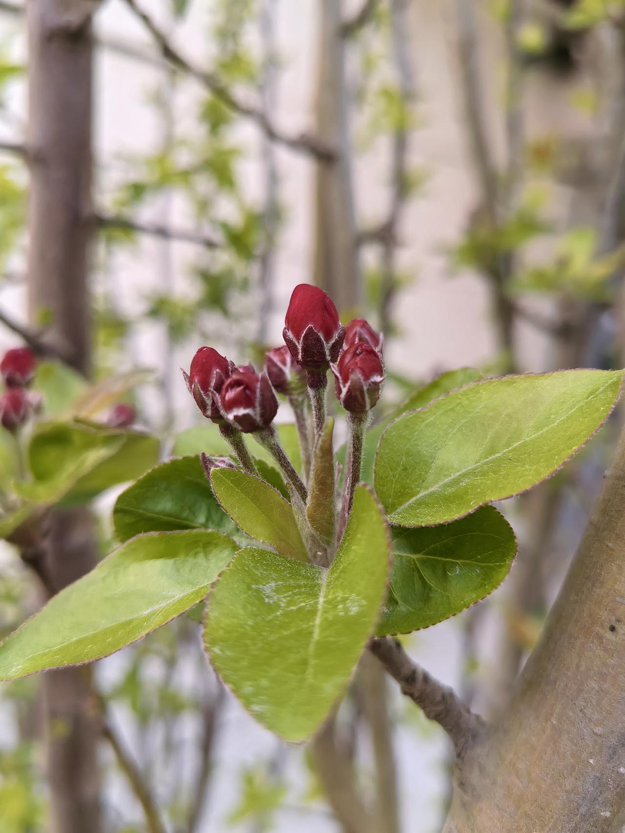 有人总结我们是不断拆旧的（或者舍弃）盖新的，所以看起来都是新的，而人家是在旧的基