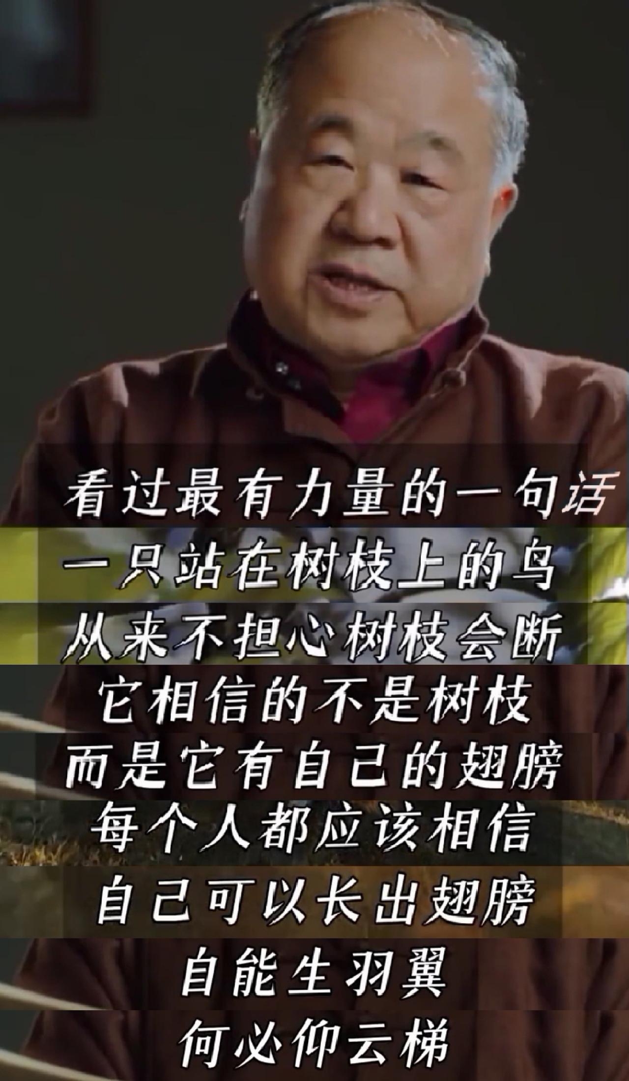 莫言这话是解决社恐的最好提示，莫言说，站在树枝上的鸟，从来不担心树枝会折断，因为
