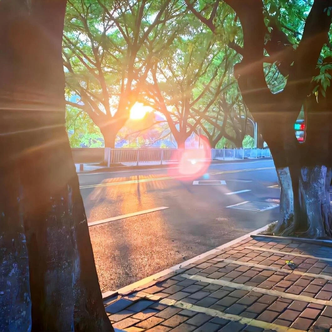 𝐒𝐇𝐀𝐑𝐄🫧 | ins风高质明媚头像背景图搭配 \  专栏 · ?