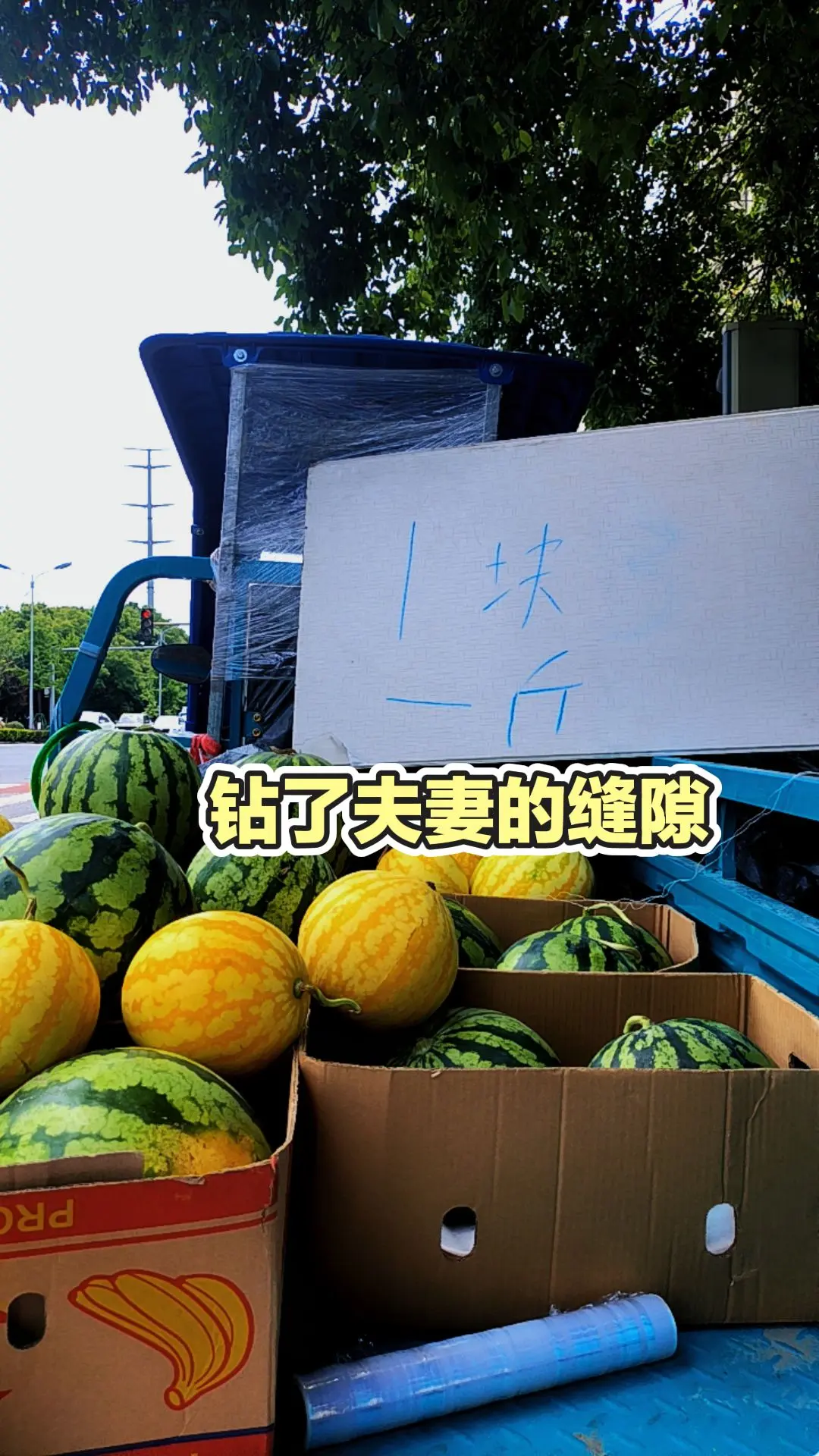 每日分享