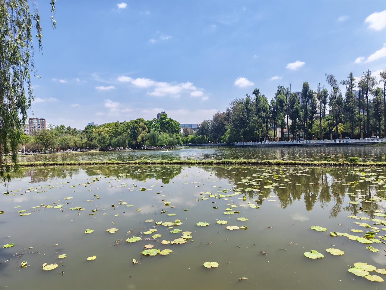 打那疫苗之后，身上不是这痒就是那痒，痒得晚上睡不好，死的心都有了！你还不能说！