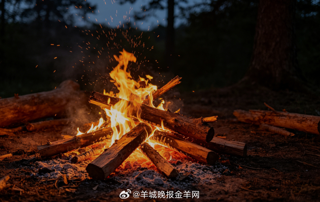 #晚安# 夜色里围坐在温暖篝火旁，火光轻轻摇曳，晚风安静，只剩温柔的私语与暖意。