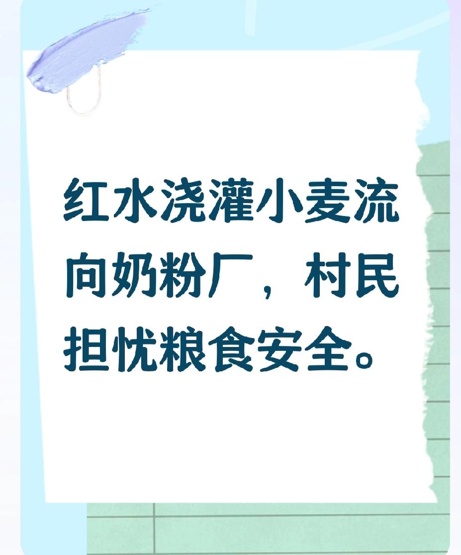 红水浇灌的小麦流向何方？村民不敢吃却销往市场引担忧。
近日，河北省保定市蠡县蠡吾