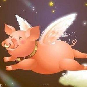 当我用4大AI猜飞猪免单谜题 表面看是薅羊毛，细想挺有意思的。飞猪这道题，Kim