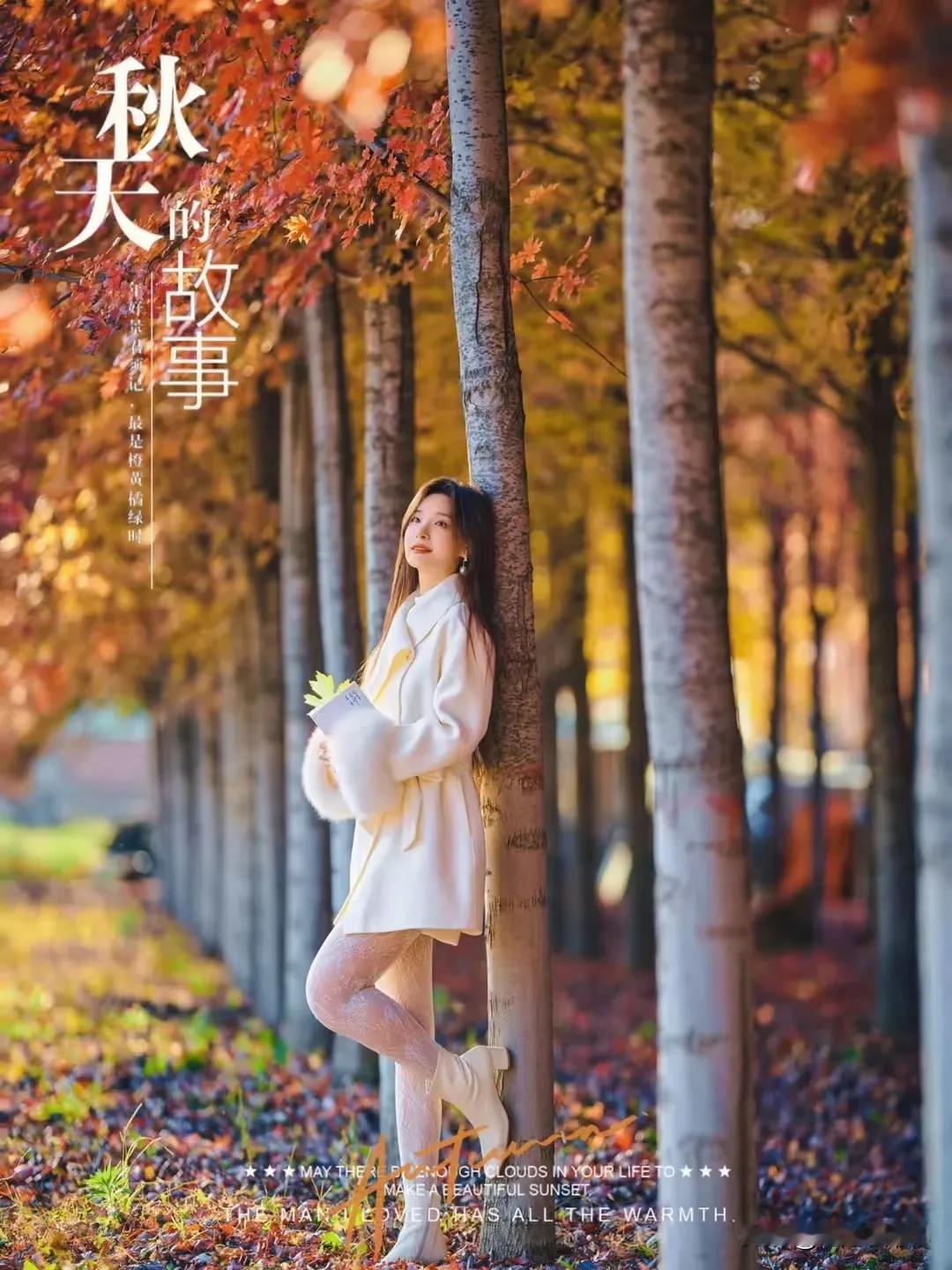 《秋枫礼赞》（原创首发）
陋室听秋/文
 
在时光的幽僻小径上，秋枫宛如一位遗世