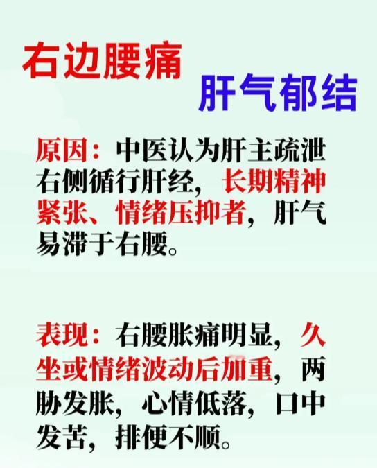 左边、右边、中间腰痛，分别对应什么问题？