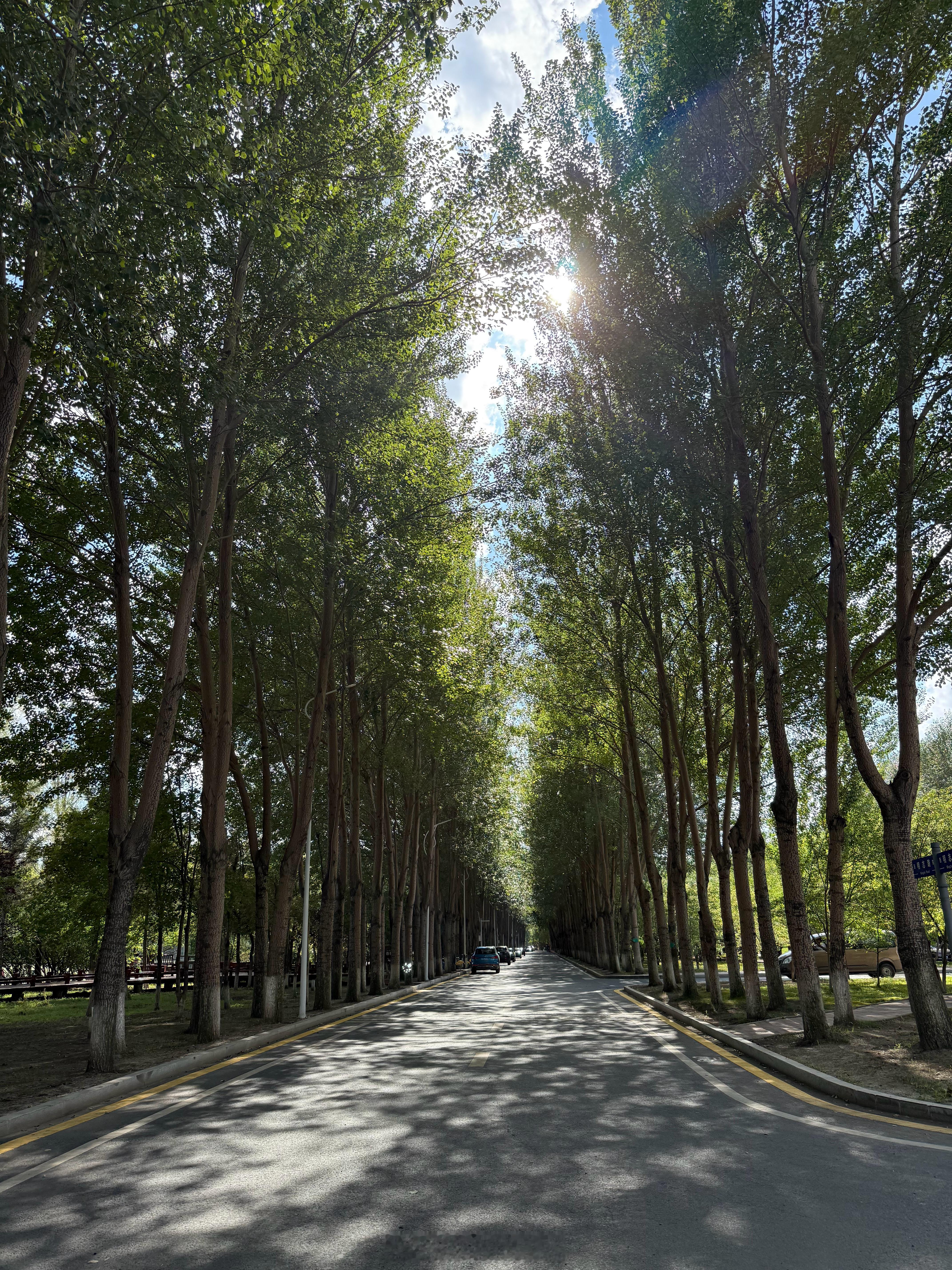 虽然因为没钱读研而放弃入学，没想到还能让我进入校园，80周年快乐🎉 ​​​