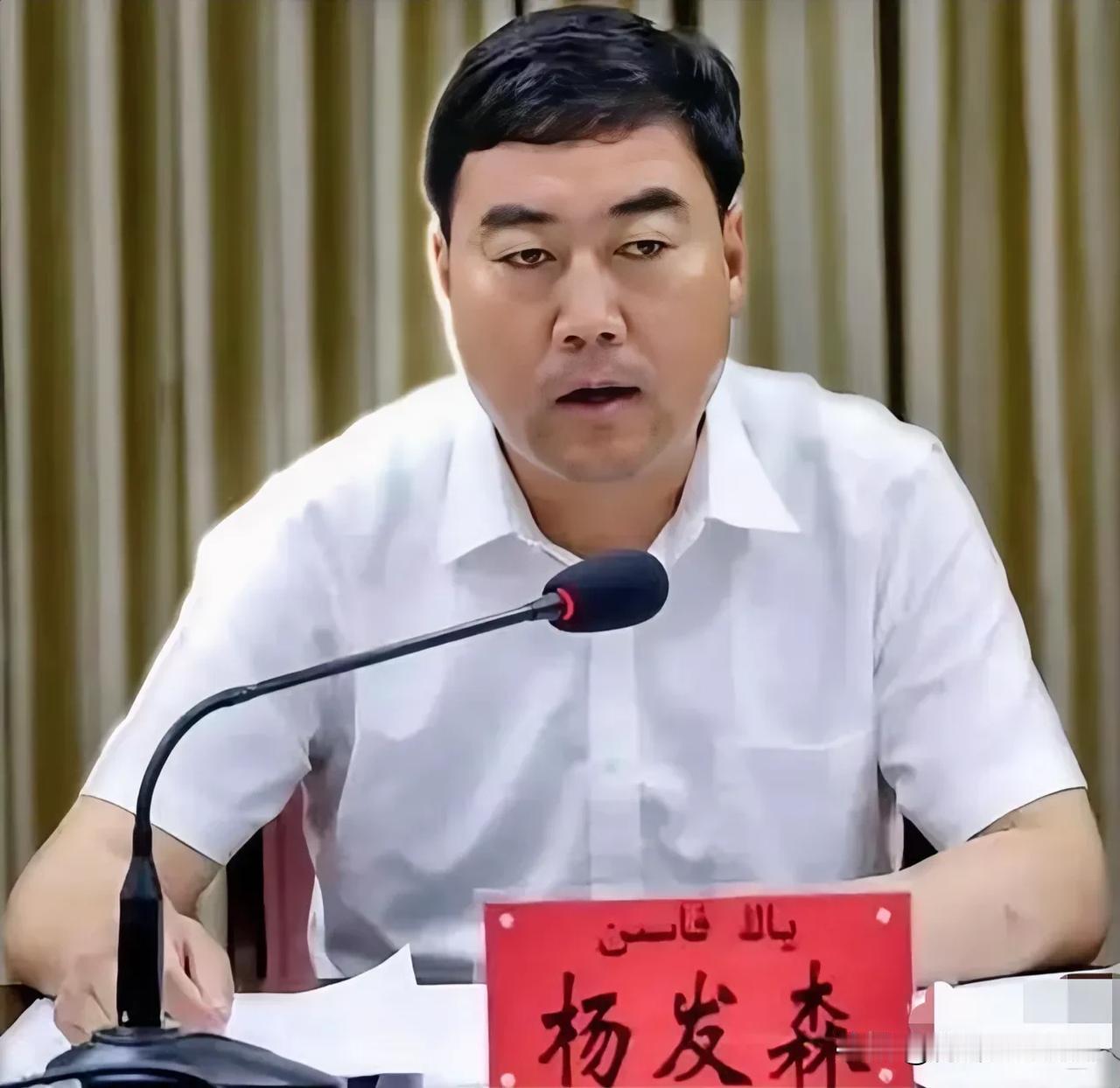消失了3个月，53岁杨发森迫于“压力”主动投降了，这只“政法虎”，有点大，是突然