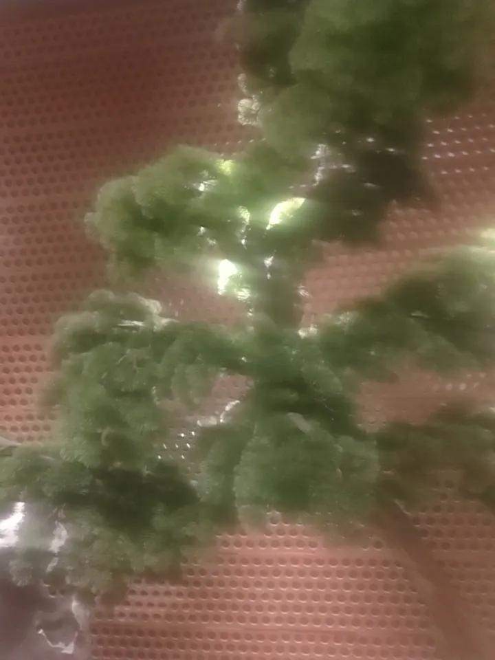 给自己一句话，你会说什么?今天虽然很累，但是工作让我开心。加油努力工作