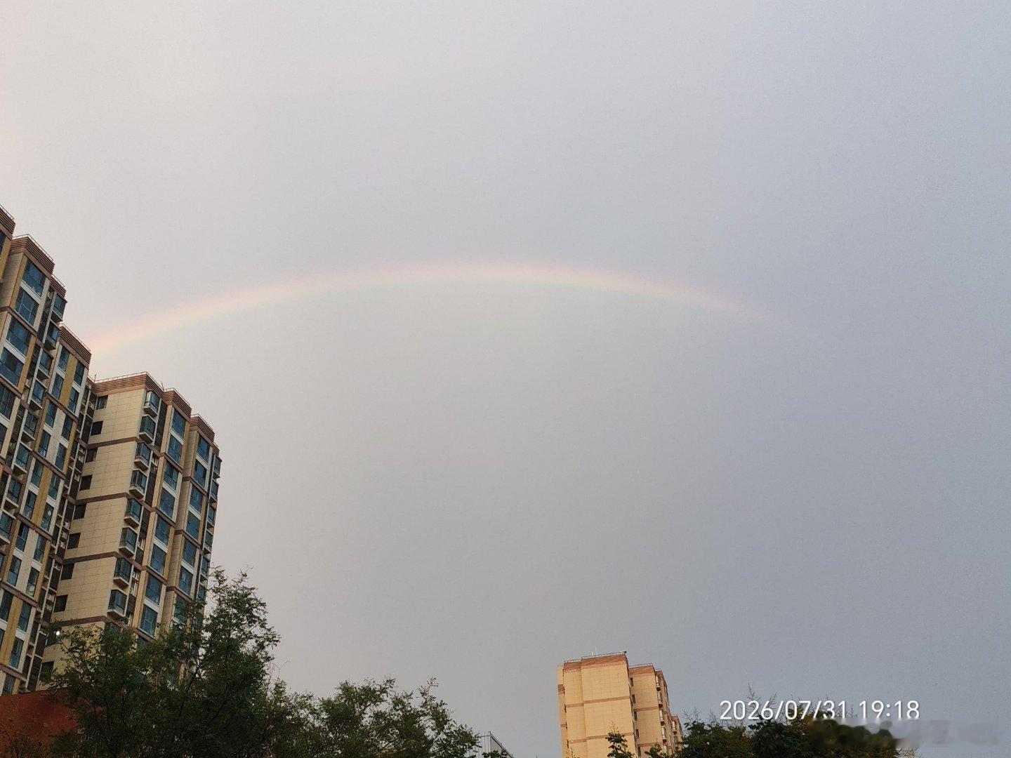 哇，彩虹🌈还有这两天才发现，流浪猫真不少啊，今天遇到一只漂亮的黑猫警长，我一下