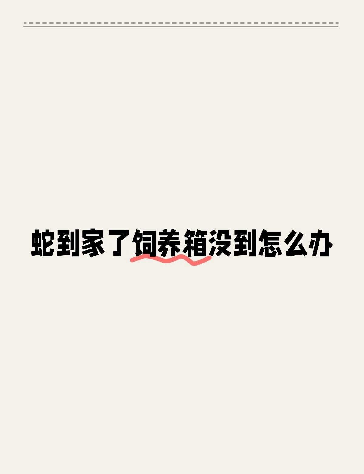 蛇到家了饲养箱没到怎么办
宠物蛇
不懂就问有问必答