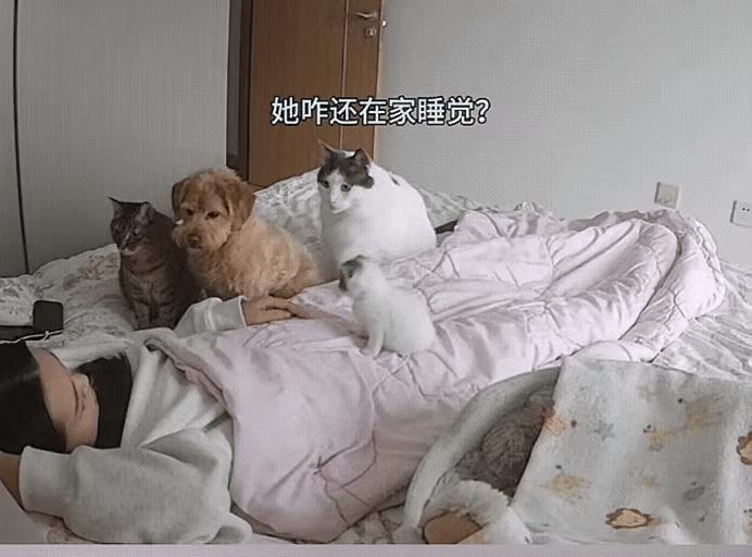 笑不活。一女子因感冒后全身无力，便请假没去上班，之后女子回家吃了点感冒药后便倒头