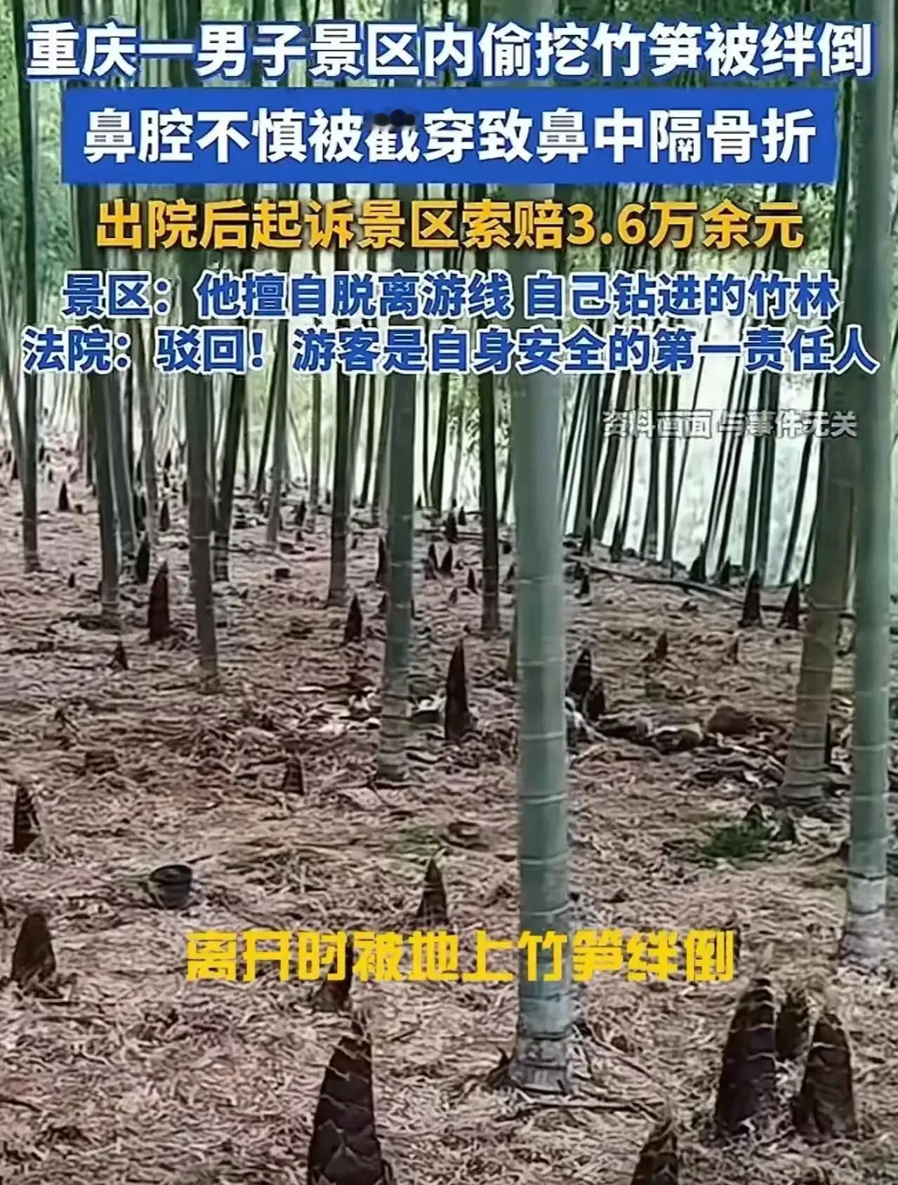 太奇葩了！重庆一男子景区挖笋被戳穿鼻腔，反将景区告上法庭索赔3.6万，这究竟是怎