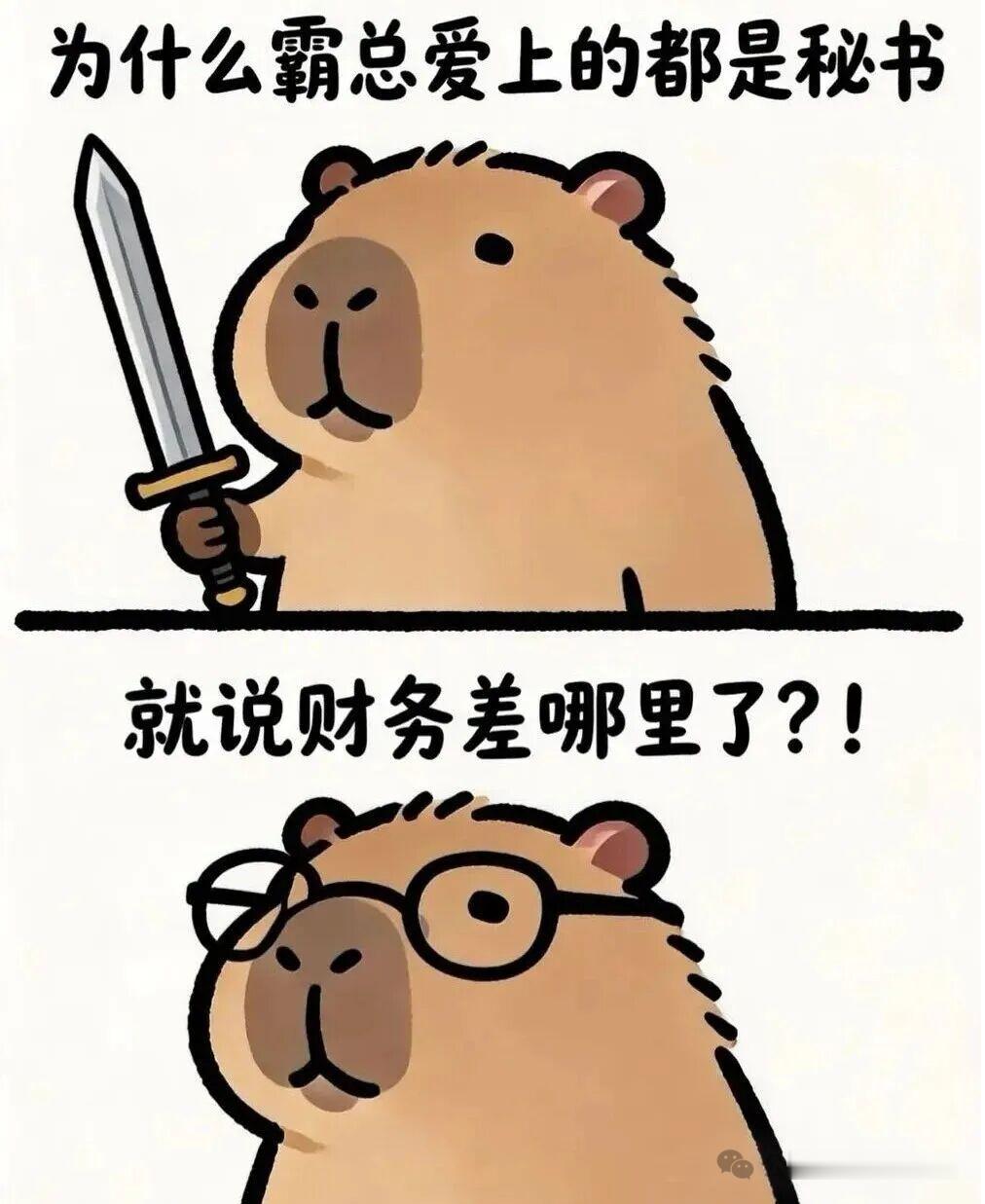 财务知道的太多了……财务需要专业知识，作者不知道怎么安排相关剧情。 
