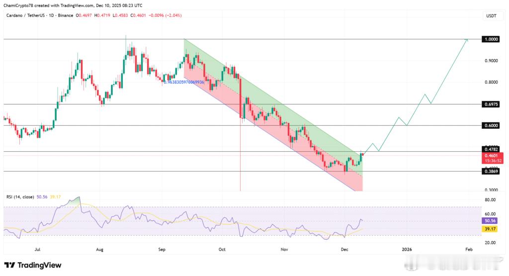 巨鲸出手！12 月 10 日 7.5 亿 ADA  流入币安，短期波动性激增，但
