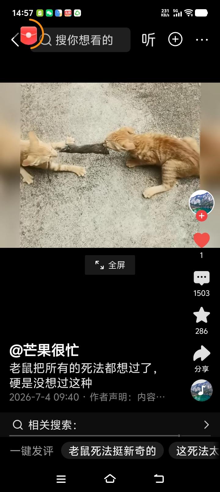两猫争食，老鼠成了拔河绳！

猫也这样好面子！

打斗到这个节骨眼儿上，不是一口