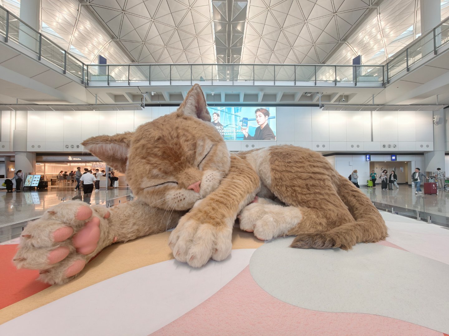 香港机场有一只巨大的猫！ 