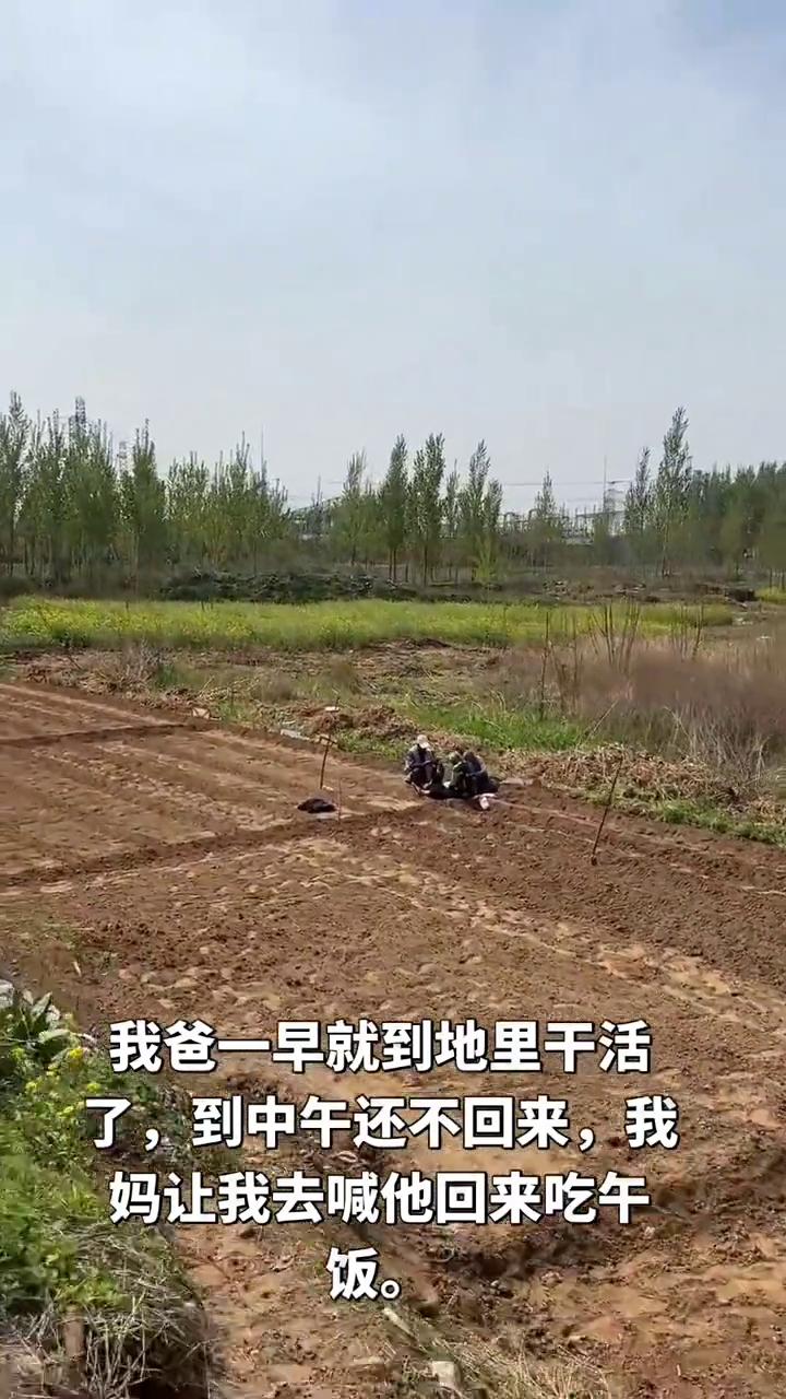 我爸一早就到地里干活了，到中午还不回来，我妈让我去喊他回来吃午饭。