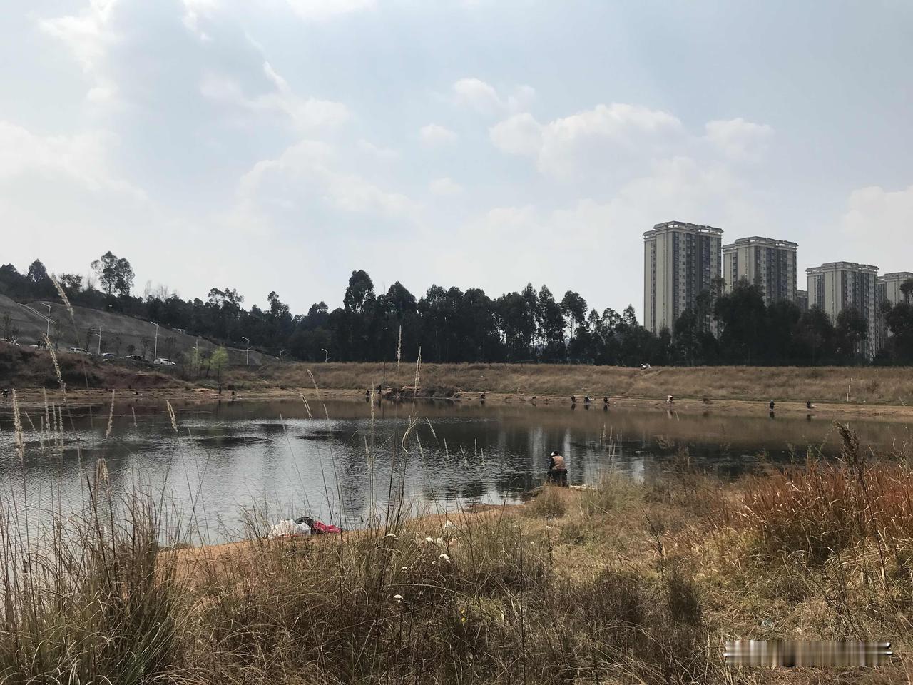 昆明滇池禁钓以后就不能在滇池里垂钓了，对于喜欢野钓的人来说在城边想找个野钓的池塘