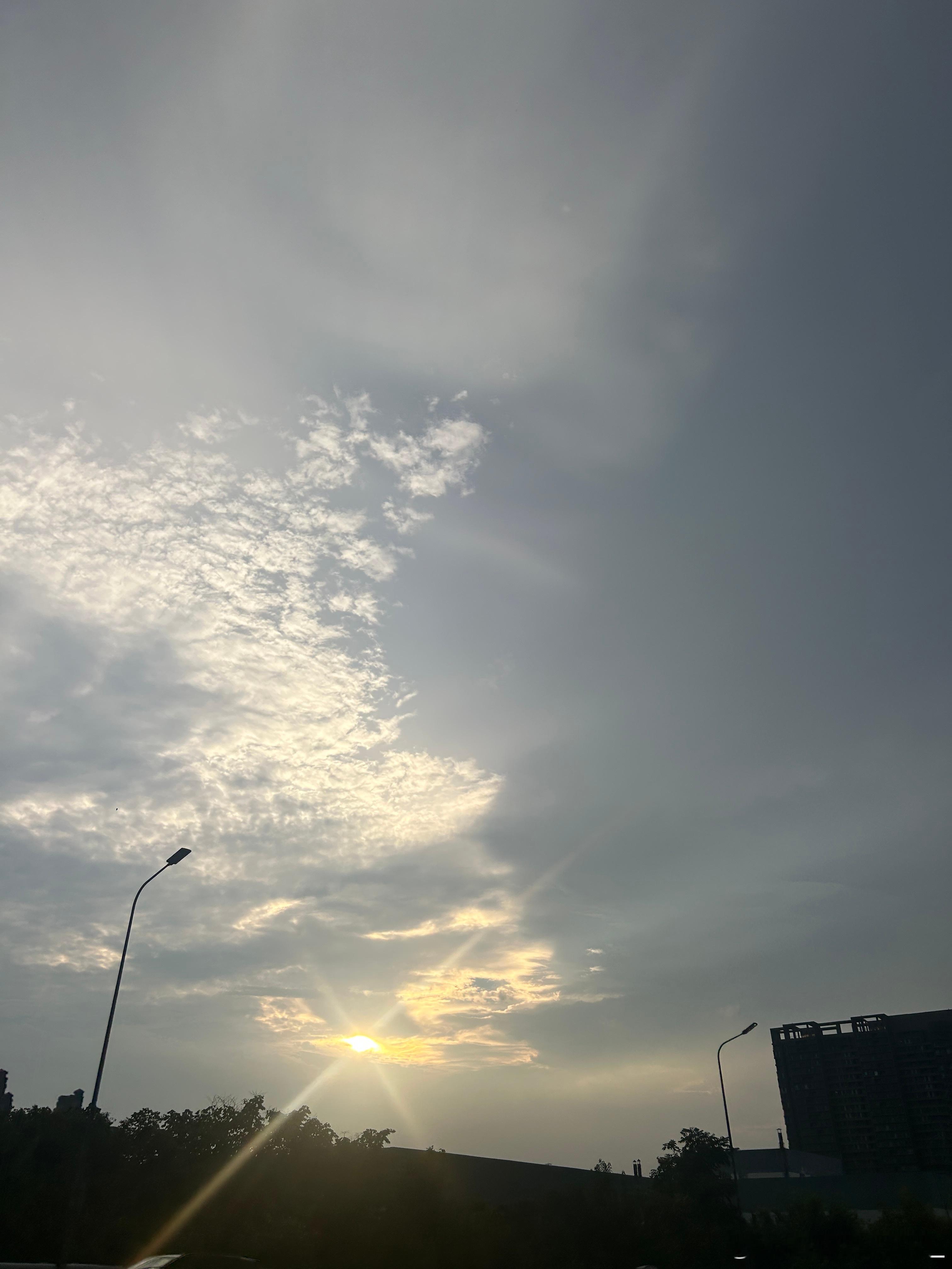 终于雨过天晴。可是彩虹🌈去哪了