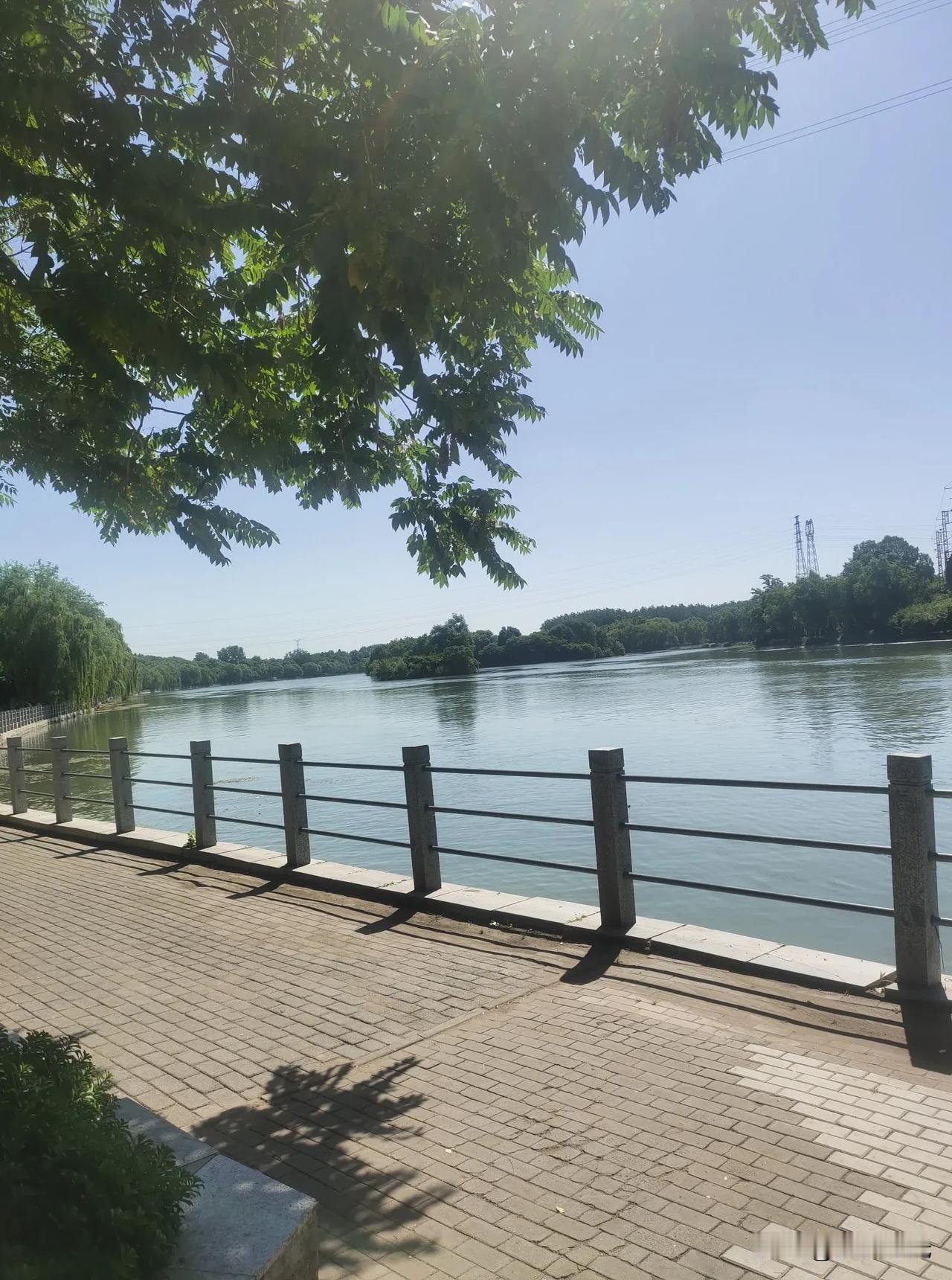 晒图笔记大赛夏日河边漫步，呼吸清新空气，享受假日时光，沐浴自然氧吧！