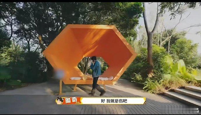 周奇上恋综没有人选周五晚高疯综艺表现自然松弛，不刻意不尴尬，认真又可爱，真实的样