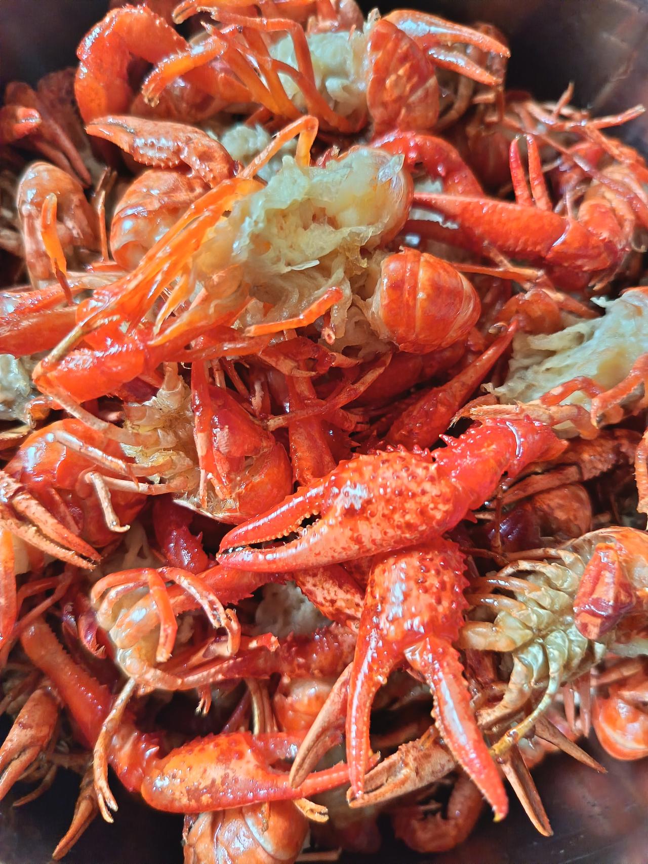 有的孩子为什么只想啃老?因为从小没有吃过苦，吃穿不愁，长大了受不了一点挫折，只想