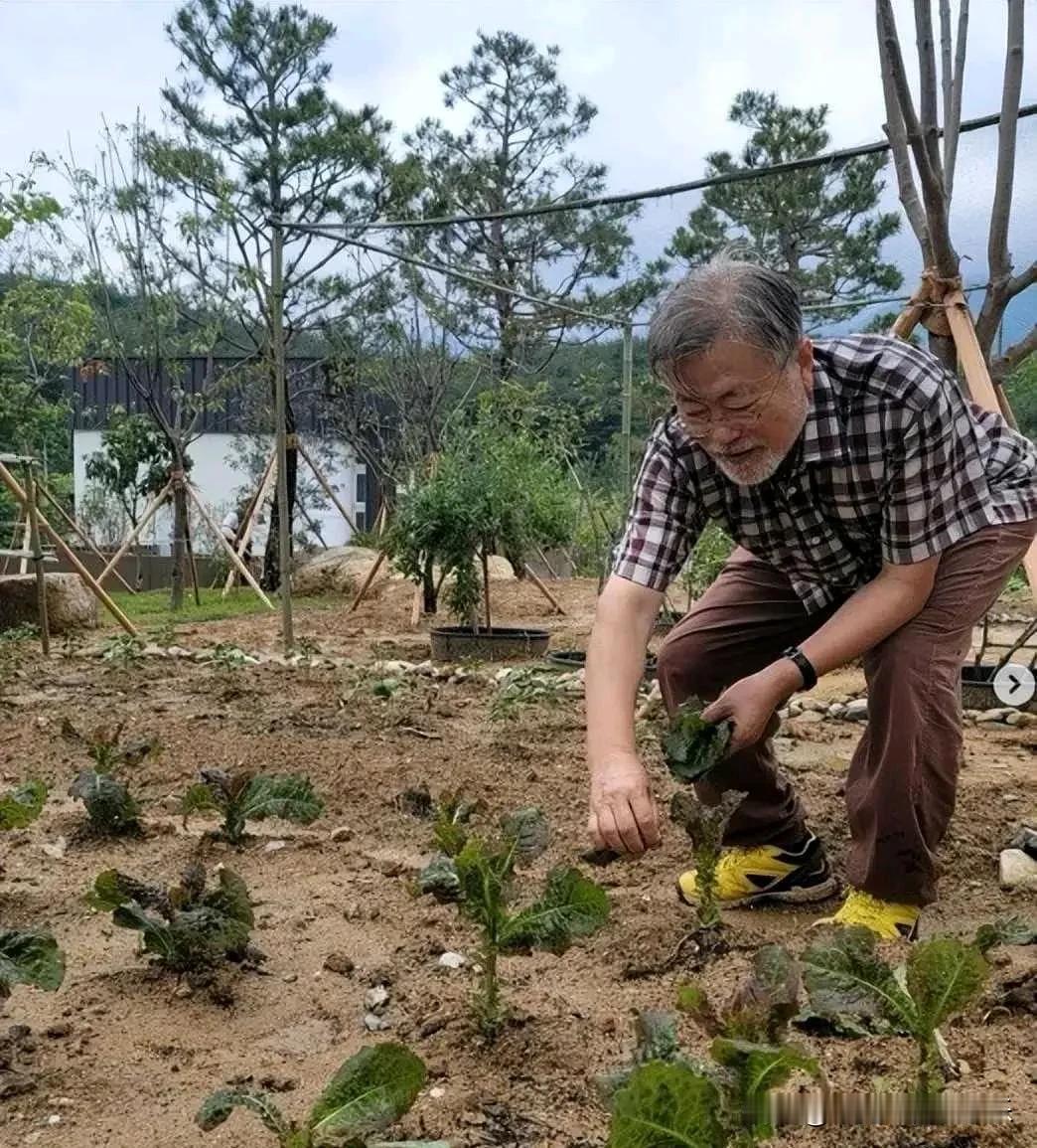 退休“种菜”，依然没用？
文在寅退休后，主动到到乡下过起了种菜、种红薯的简约“田