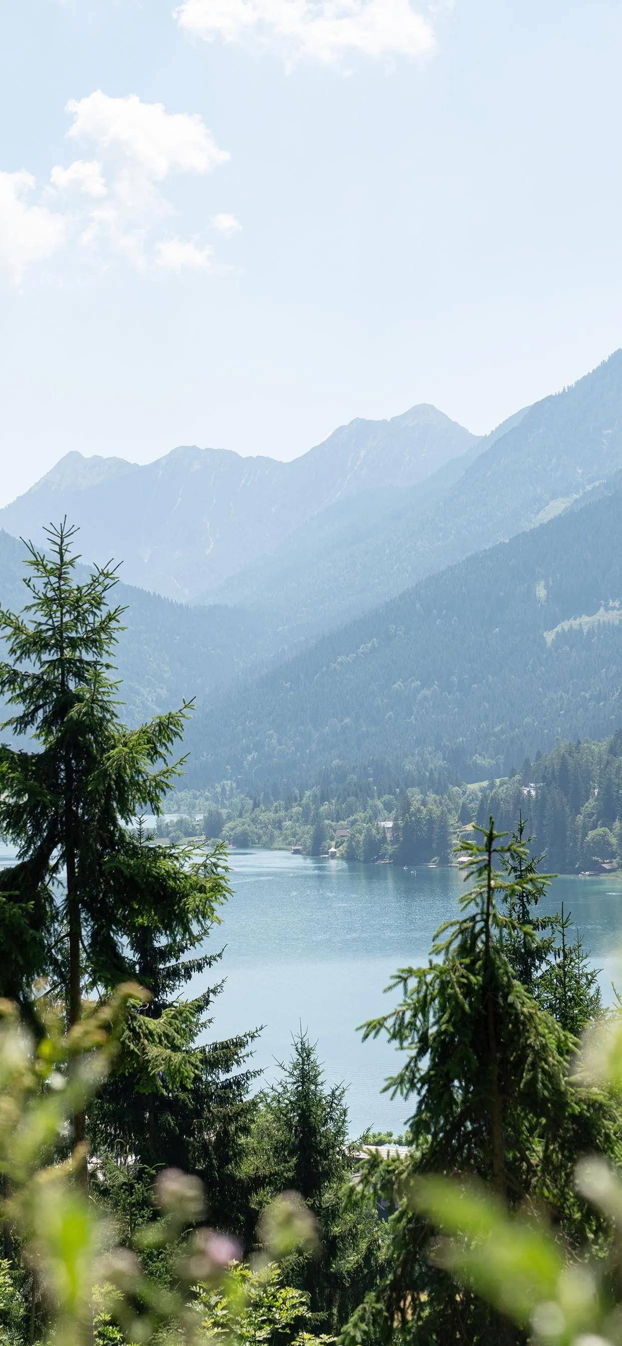 人分两个意识，一个是潜在意识，一个是主观意识。主观意识就是我们人的后天意识。人生