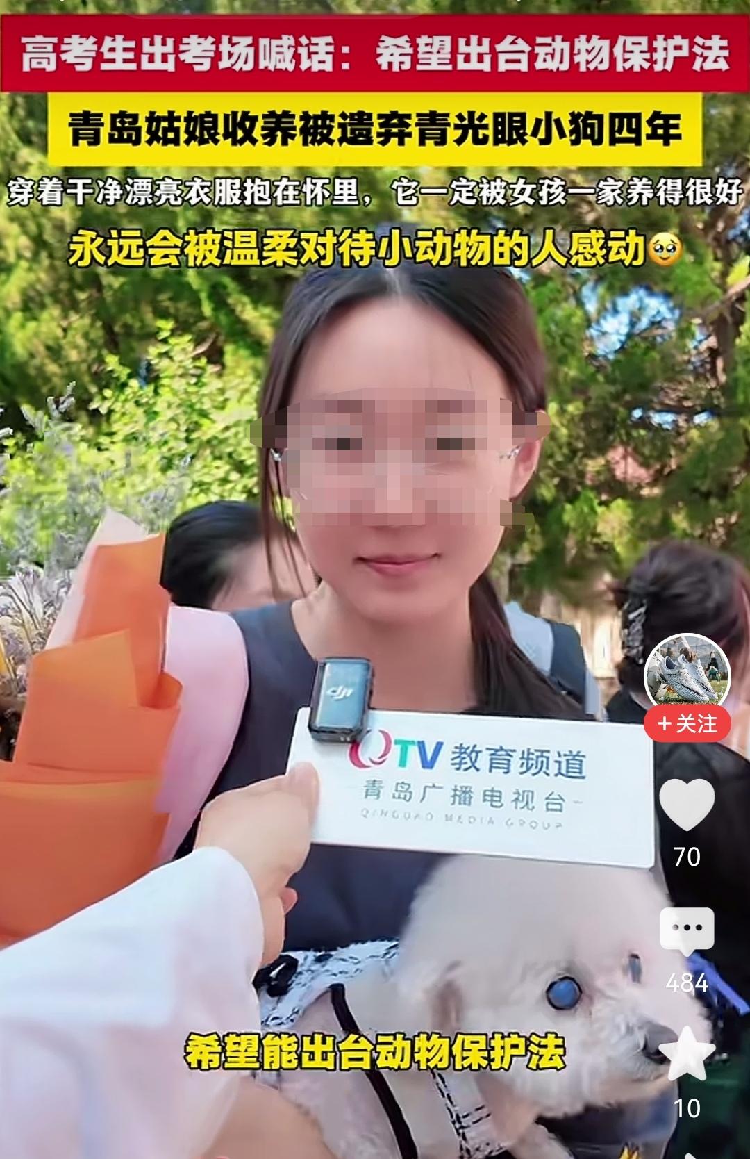 遗弃宠物该如何处罚？
不规范饲养宠物应如何处罚？
宠物伤人又该如何处罚？
先把这