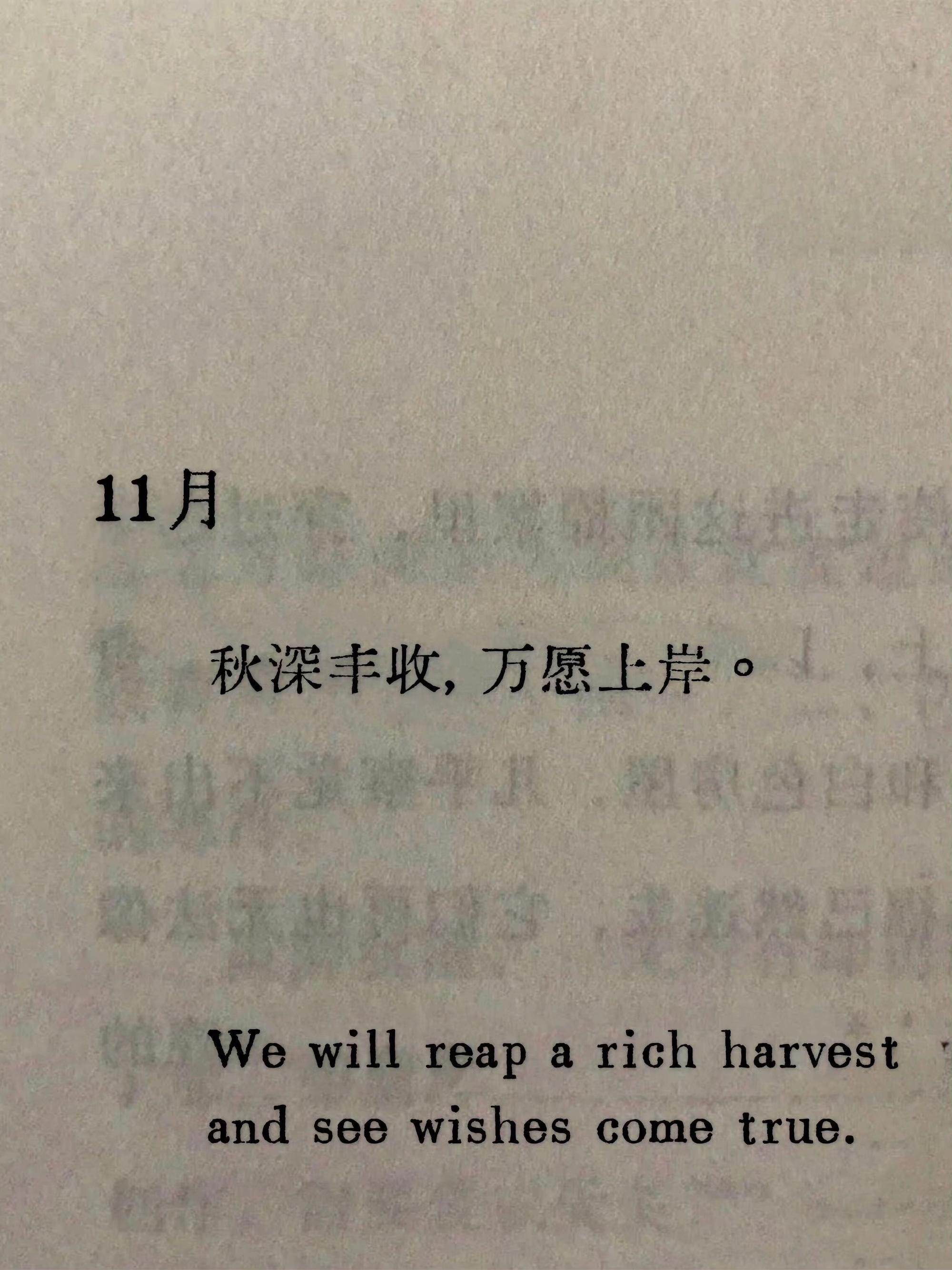 随风复燃的又何止是秋天🍂