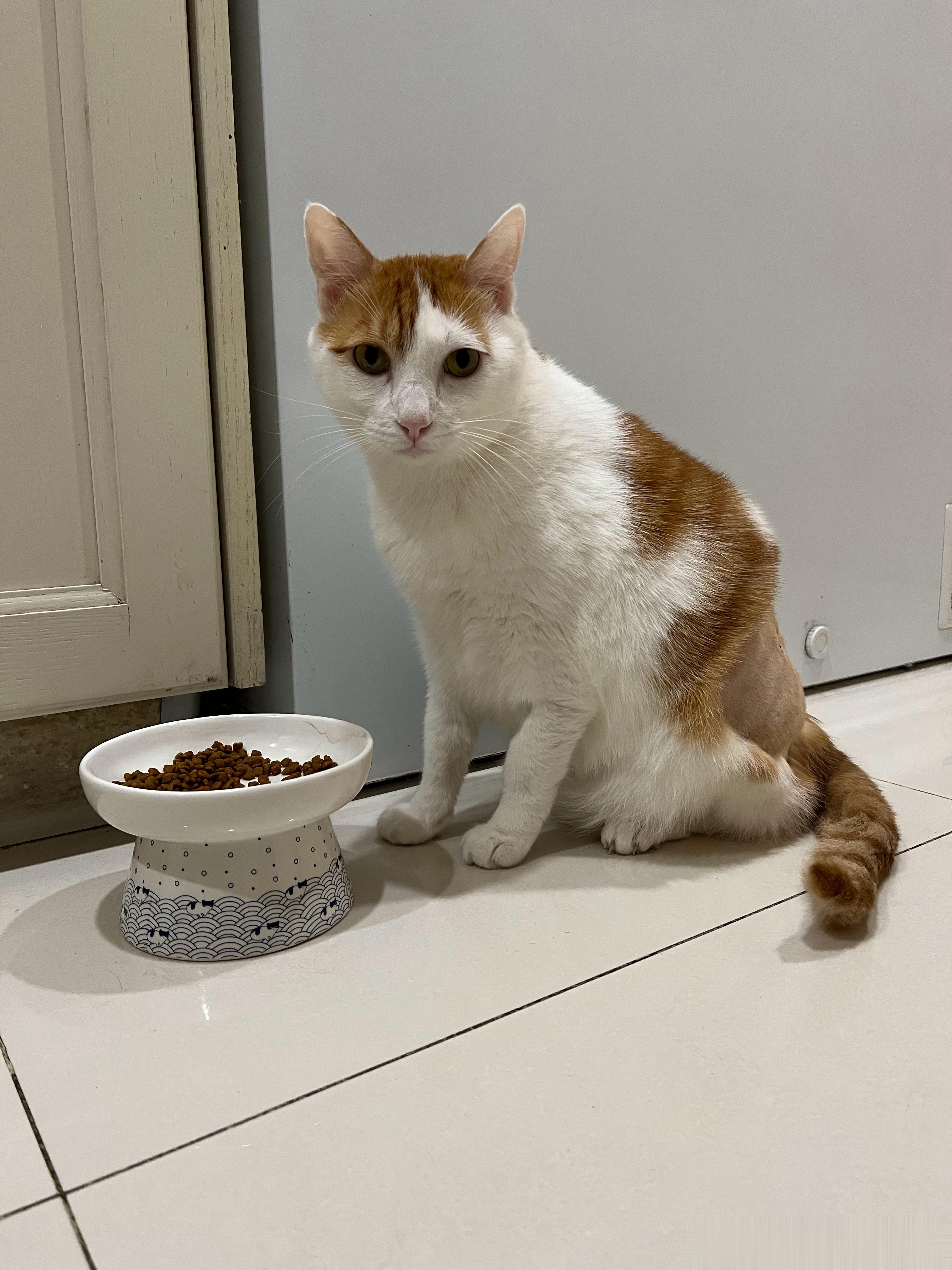 早上我跟猴猴说了，让他做好准备，明天就能返岗啦！开心吧！ ​​​