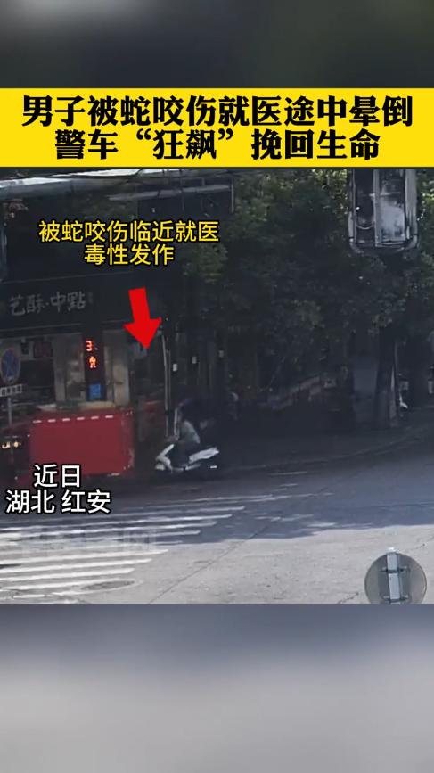 “不幸中的万幸！”近日，湖北黄冈，一男子被毒蛇咬伤后，自行骑车前往医院治疗，结果