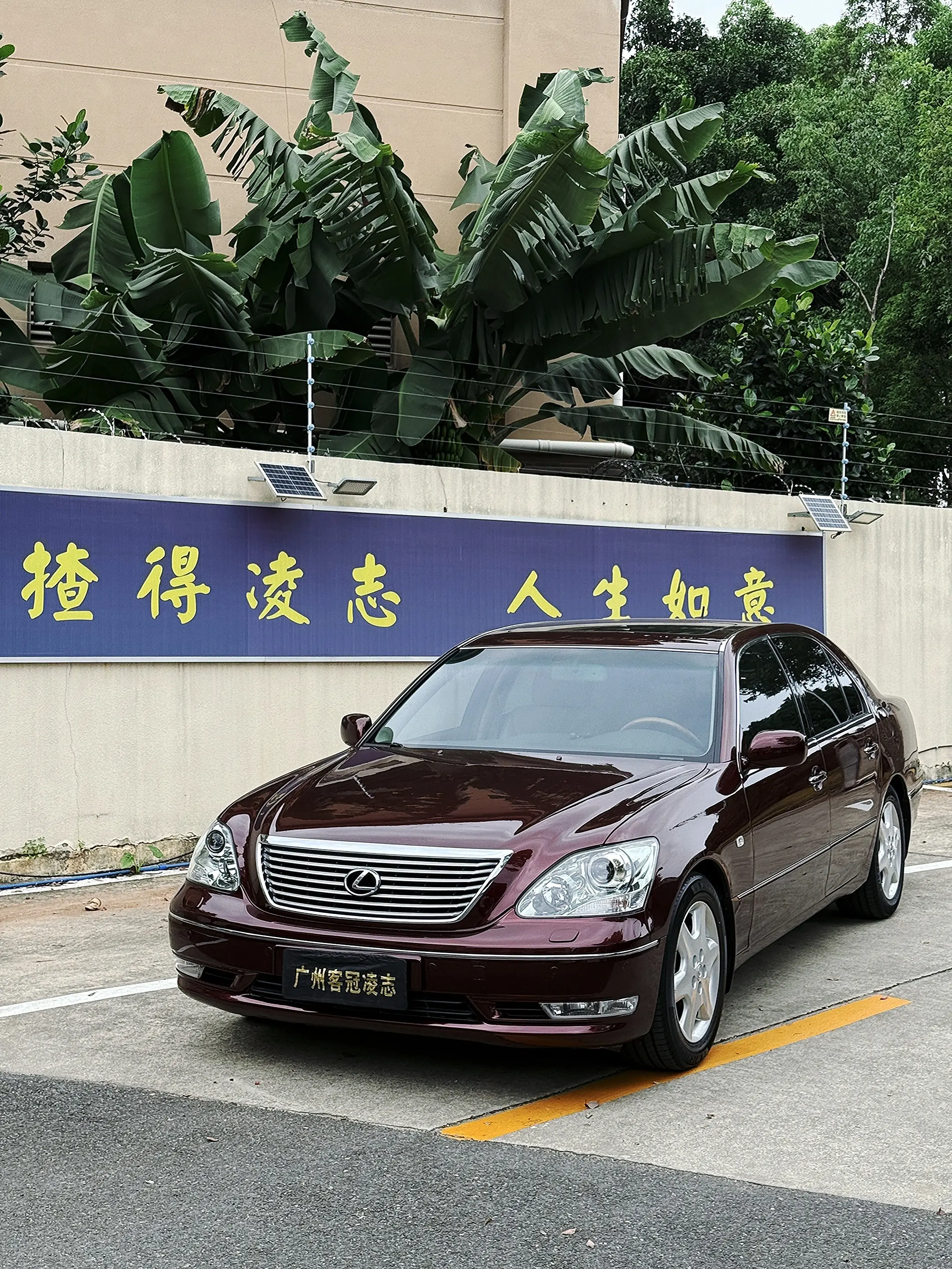 极致东方美学