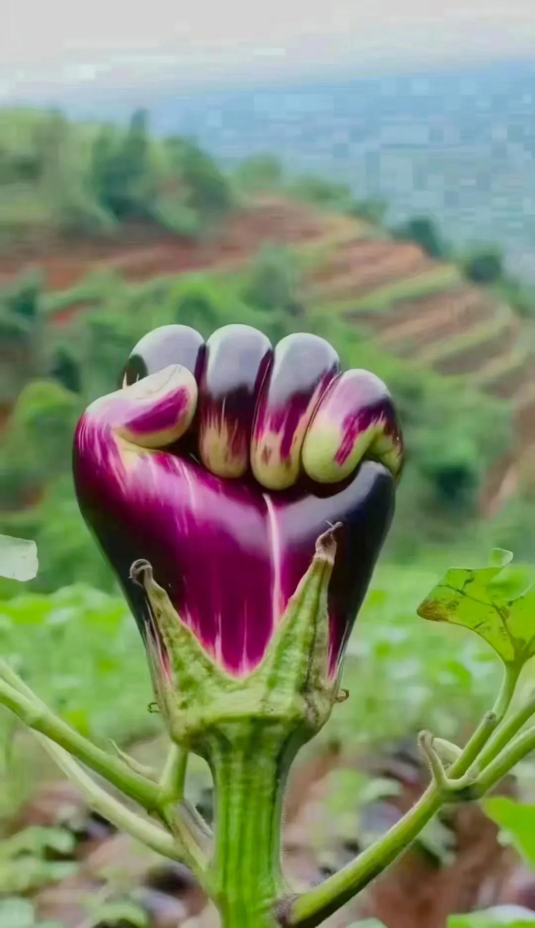 我刚刚发现，官方发布的数据称，我国的居民存款总额已经超过了150万亿人民币，人均