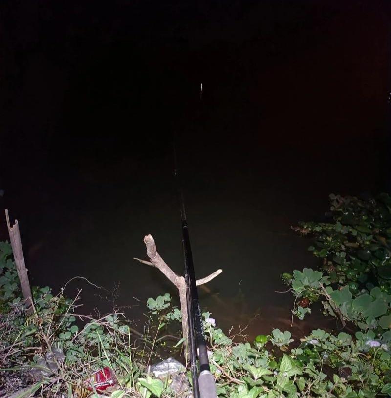 我从前去夜钓向来不知害怕，因为我每次去都会把家养的一条大狼狗带上。
直到有一次去