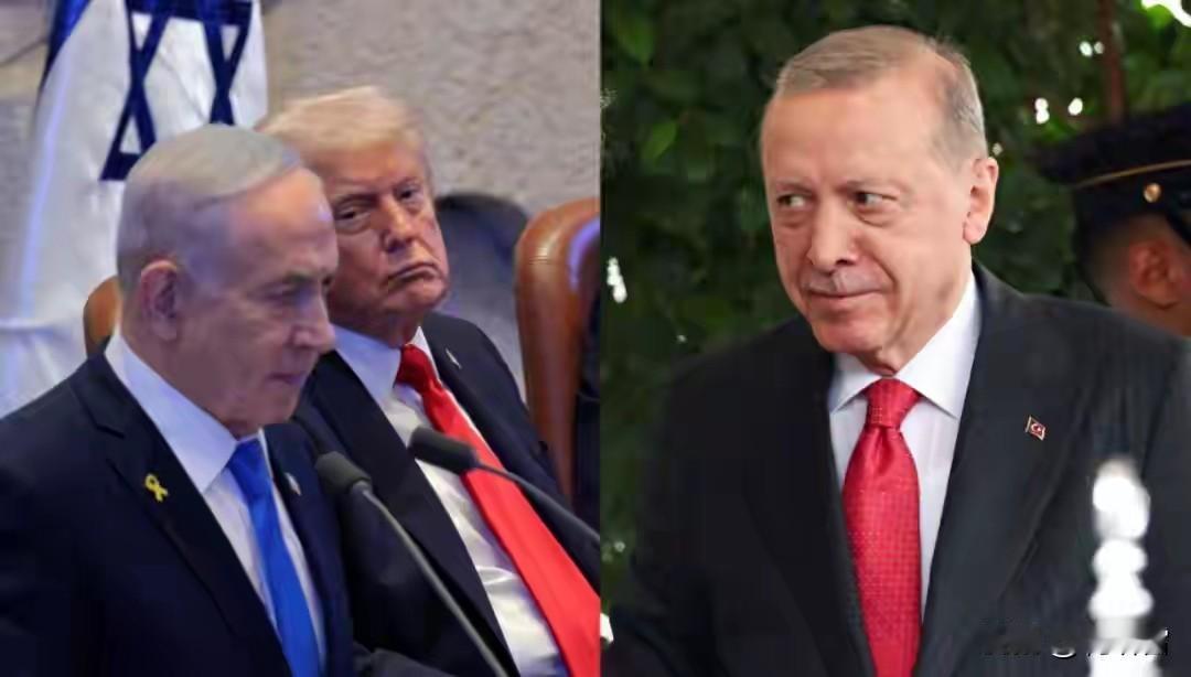 特朗普默不吭声？埃尔多安公开骂内塔尼亚胡是“当代希特勒”，而土耳其检察官直接不带