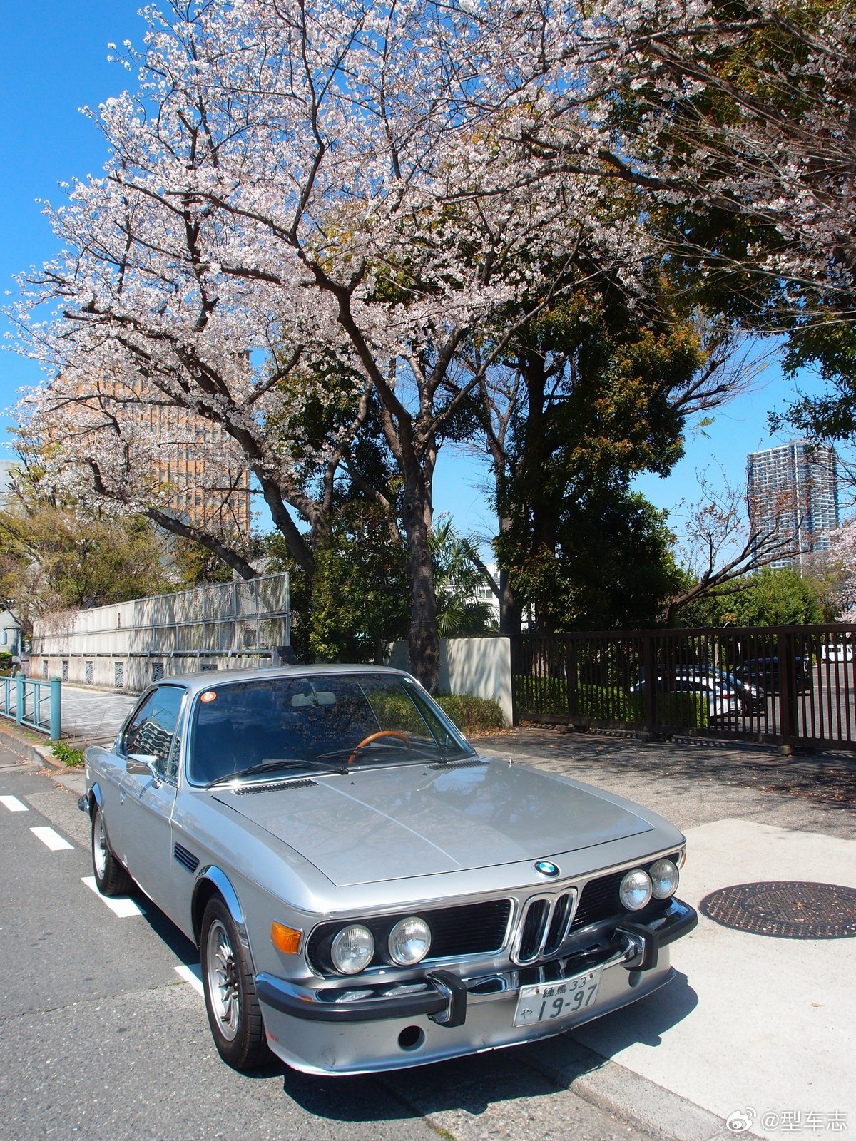 关东的樱花基本满开了。其实赏樱不用特意去人挤人的热门景点，街角随便一拍就很美。?