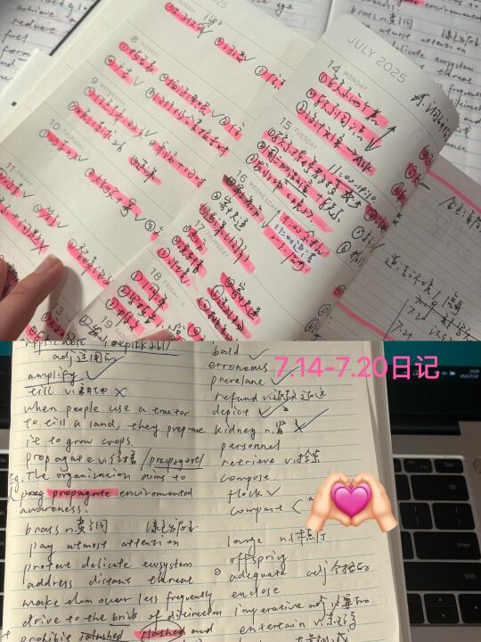 😇🥱暑假日记：用计划本可以提升完成度！