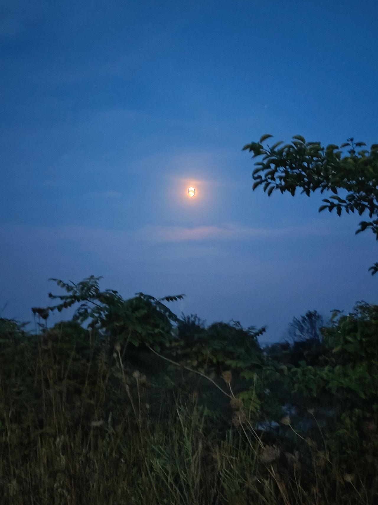 乡村上空的月亮