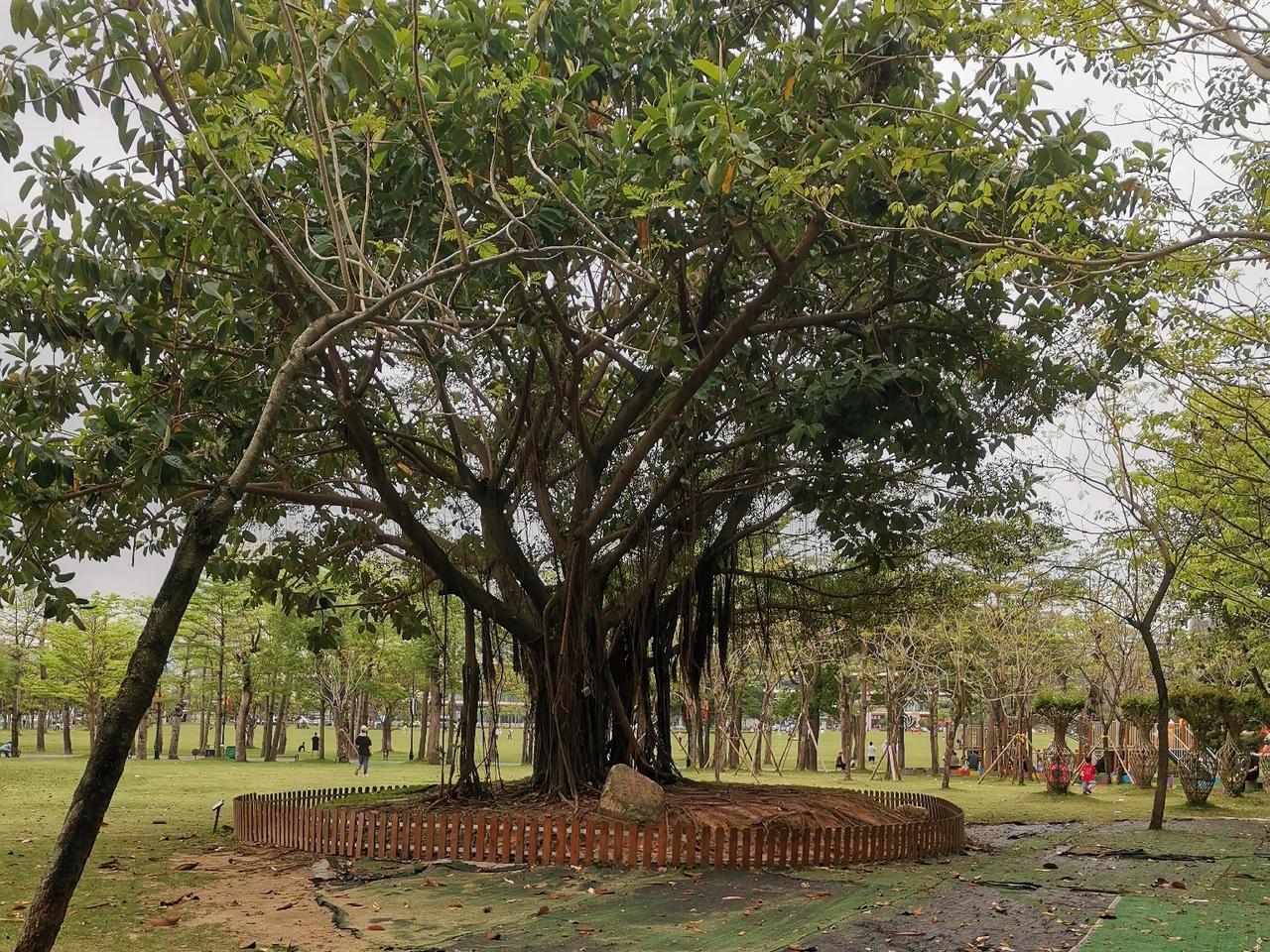 人这一生，不怕口袋穷，最怕脑袋穷。

口袋穷是穷一时，脑袋穷是穷一世。

赞同的