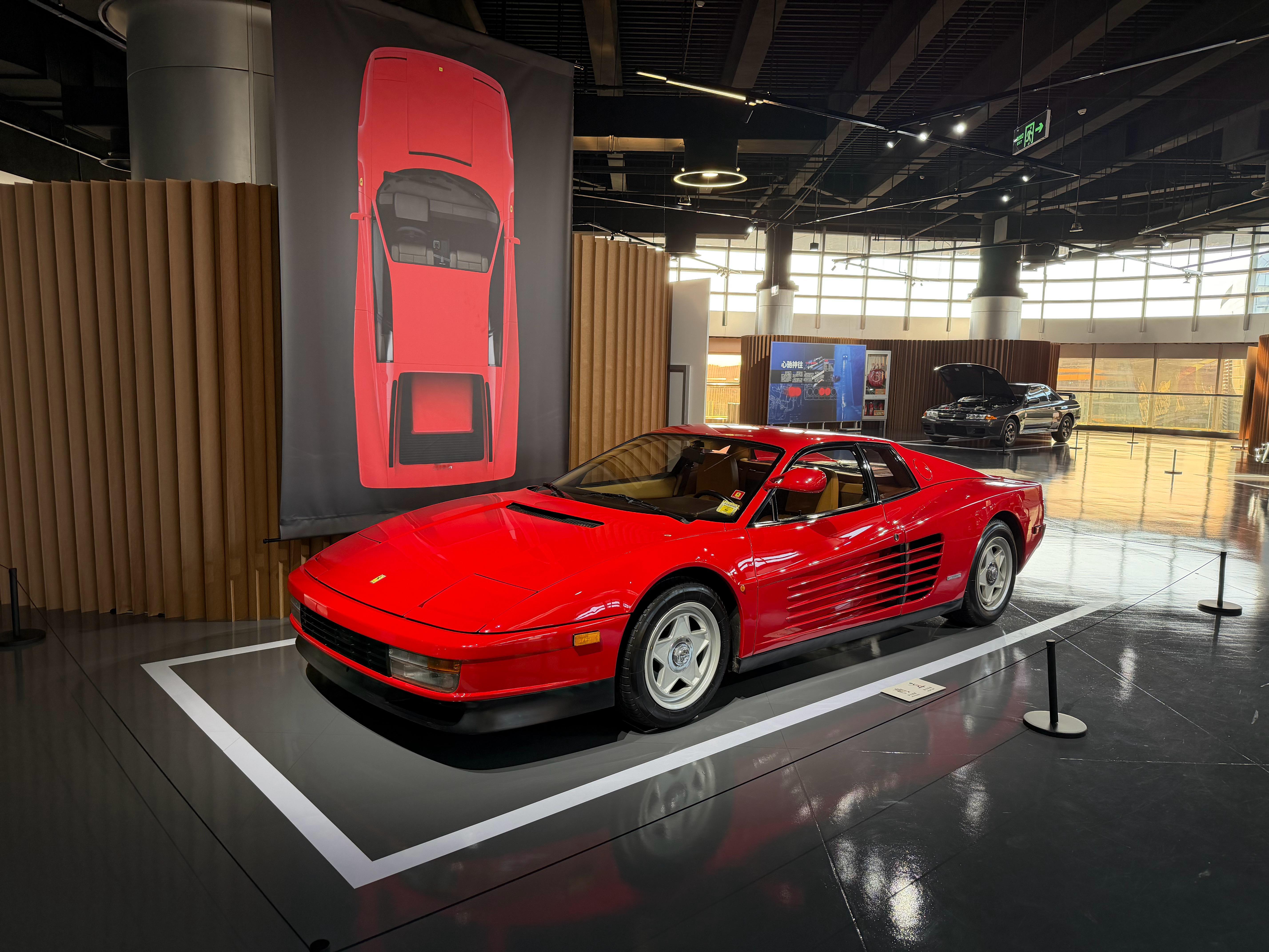 美丽“红头”，的布展，是真真正正的国际水准。 