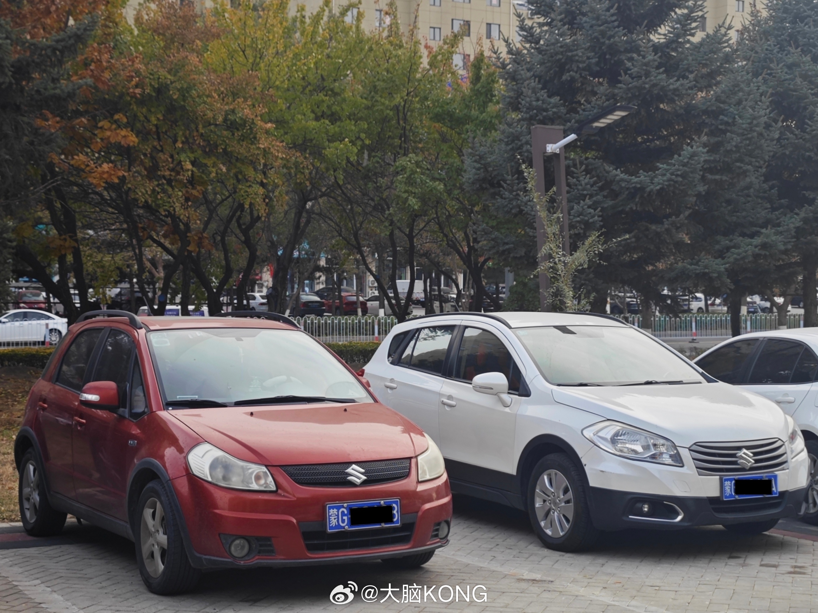 父与子系列之铃木SX4天语sx4铃木天语sx4锋驭suzuki ​​​(SX4锐