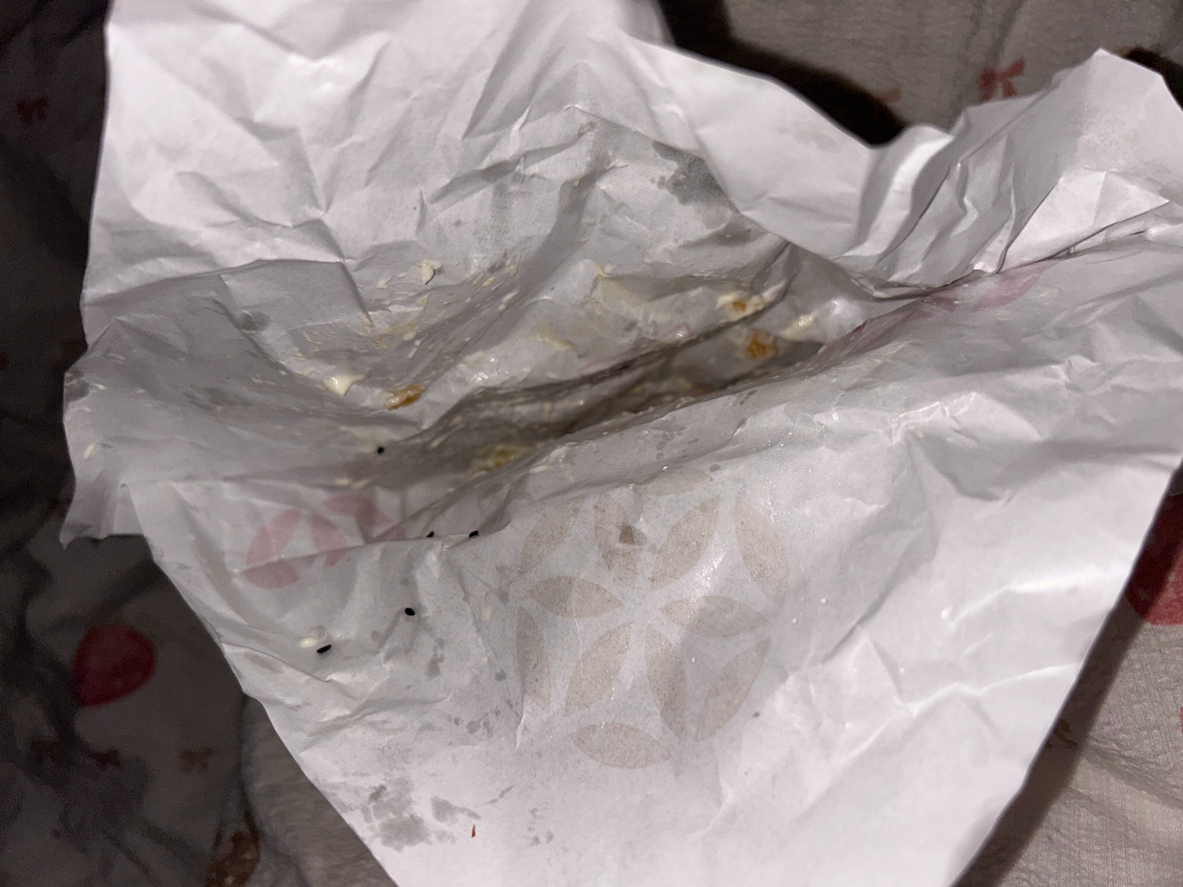 吃完了开始录素材剪视频 ​​​