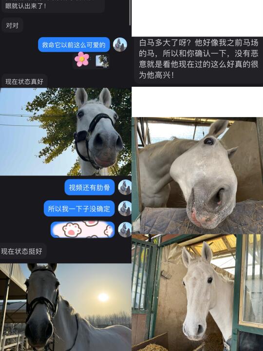 感谢互联网 才有这些照片