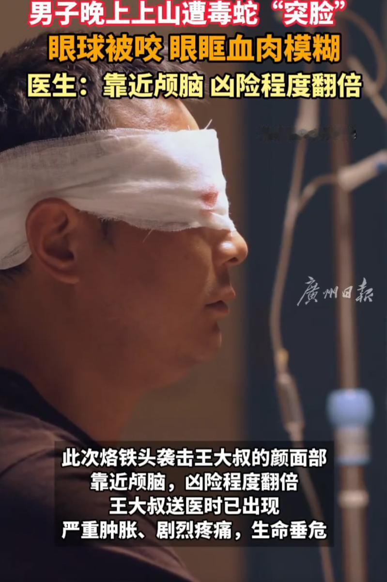 太惊险了！福建三明，一位大叔晚上到山上赶羊，突然一条蛇窜起来对着他的面部攻击，连
