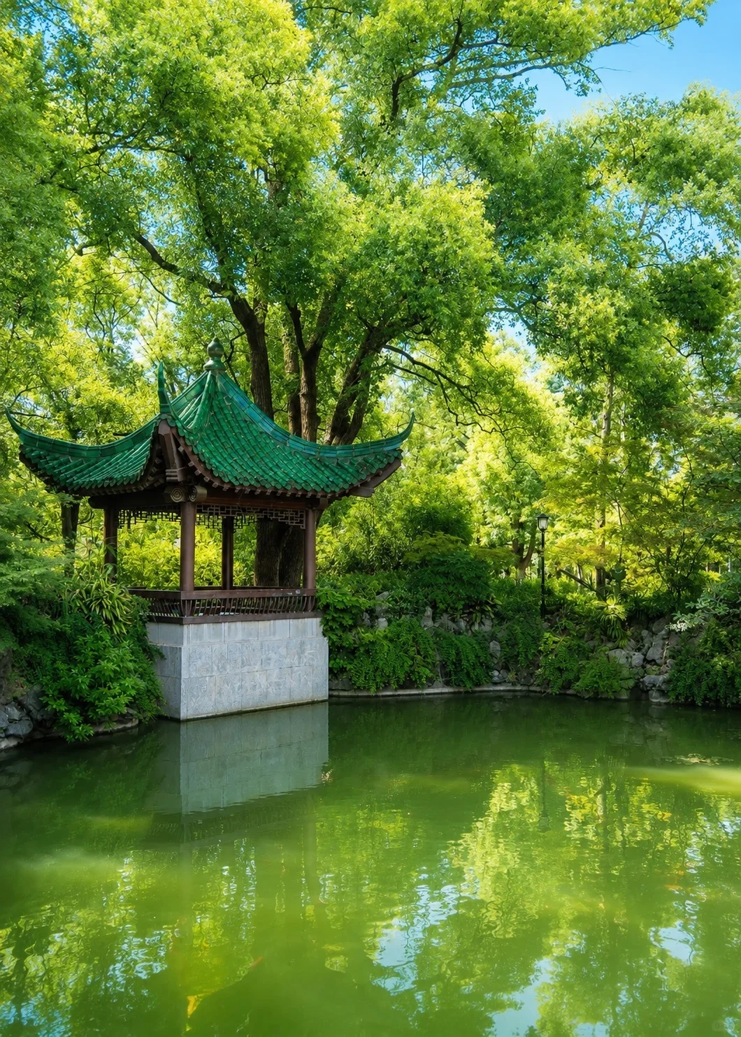 别再挤磨山了！东湖这片免费私藏地太治愈！