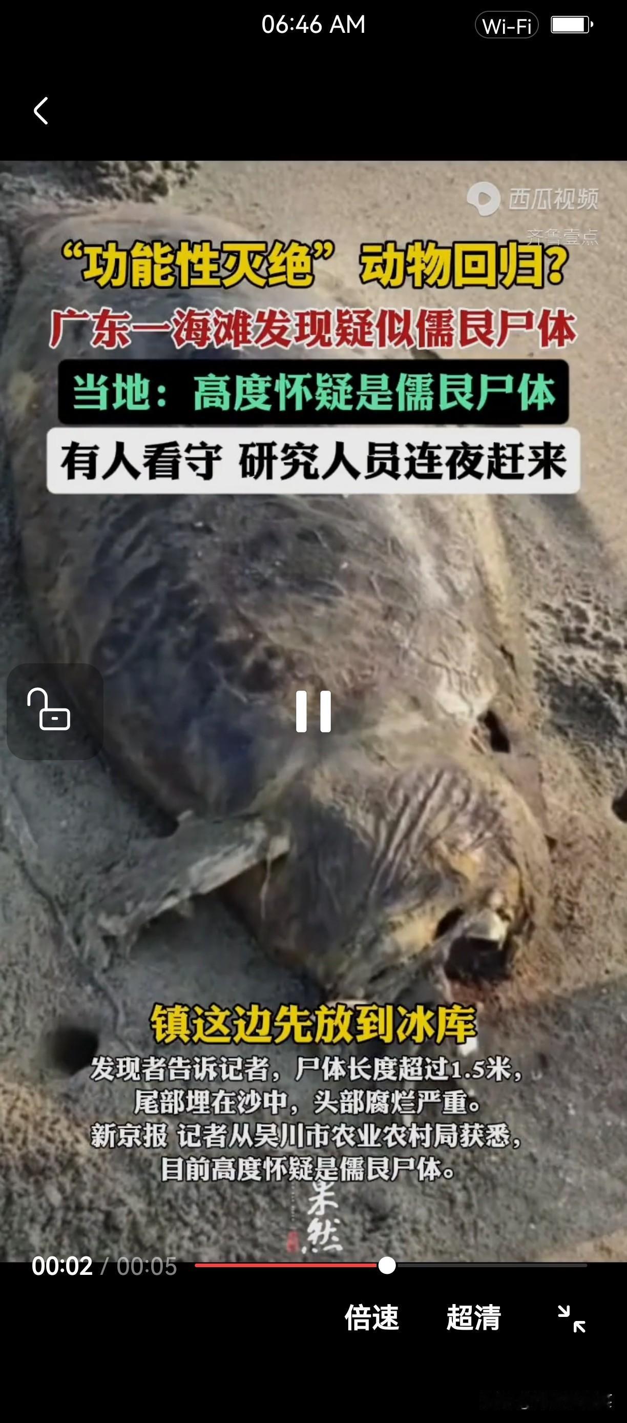 广东湛江吴川海滩发现疑似美人鱼（儒艮）尸体

🧜‍♀️ 儒艮是什么

儒艮（r