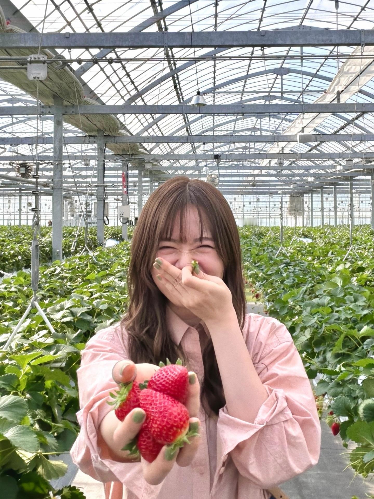 山崎怜奈「少し前に、中学の同級生と🍓今夜のEテレ『偉人の年収How much?