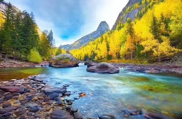 世间好物不坚牢，彩云易散琉璃脆。——杨绛 